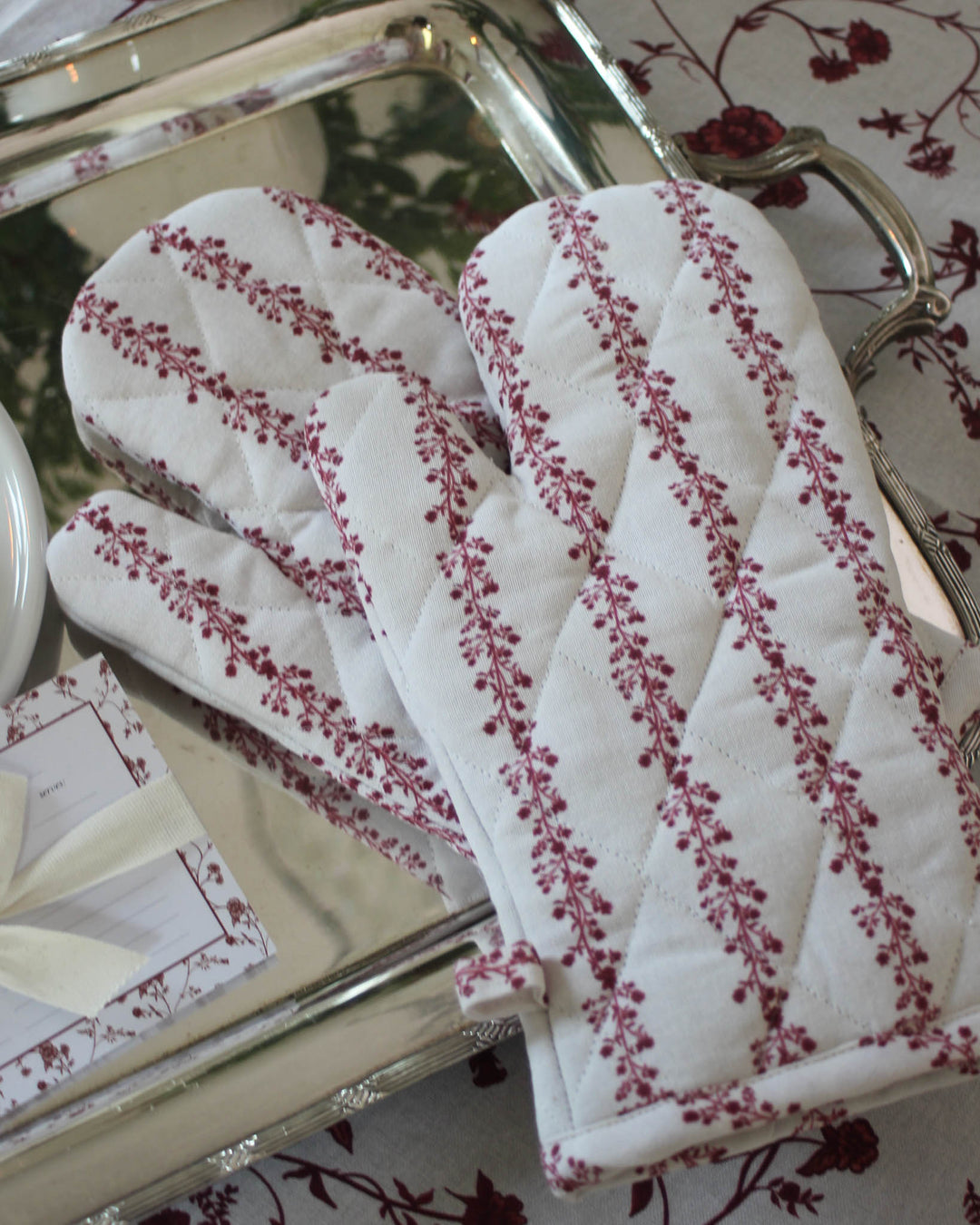 Begonia Stripe Ruby Oven Mitt Set