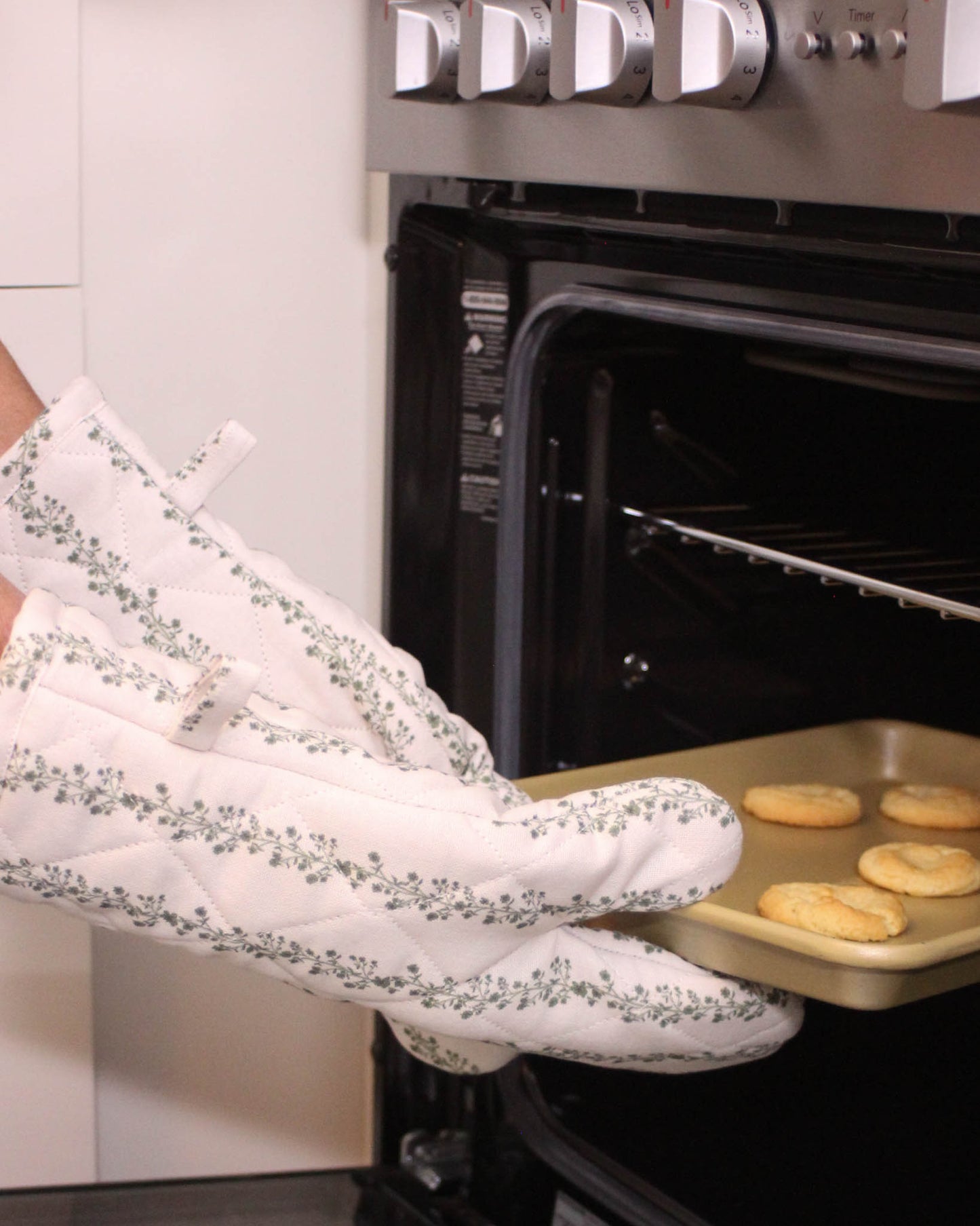 Begonia Stripe Floral Oven Mitt Set